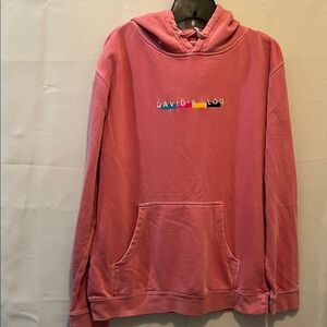 David’s Vlog Pink Pullover Women’s Hoodie with Colorful Logo front pocket USED M